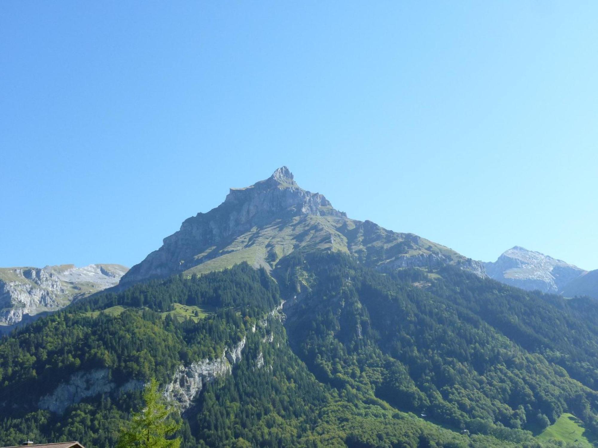 Apartment Chalet Eien By Interhome Engelberg Kültér fotó